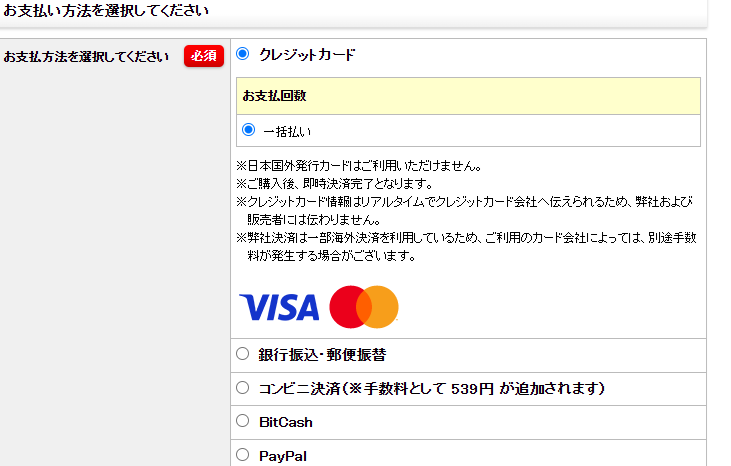 インフォトップでのクレジットカードでの購入時に一括払いしか選べない画面