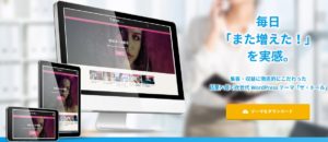 ザ・トール(THE THOR) 独自豪華特典付徹底レビュー 初めてのWordPressの有料テーマならまずこれ！